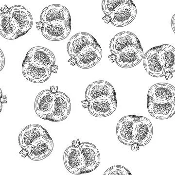 Seamless pattern pumpkin cut sketch hand drawn Illustrazione stock