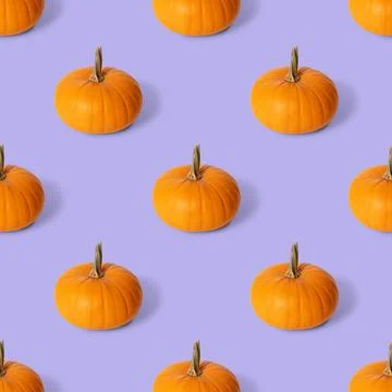 Seamless pattern with a pumpkin on a purple background. Autumn pumpkin backgr Stock Photos