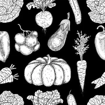 Seamless pattern with pumpkin, tomato, beet, cabbage and vegetables Stock Illustration