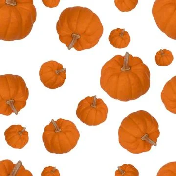 Seamless pattern pumpkin vegetables on white background Foto stock