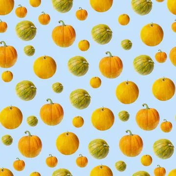 Seamless pattern, pumpkins of different sizes and shapes on a blue background 스톡 사진