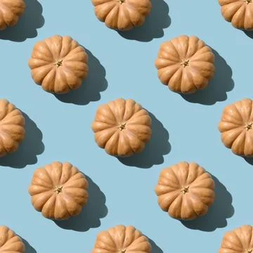 Seamless pattern of pumpkins with shadow. Autumn harvest eco concept. Stock Photos
