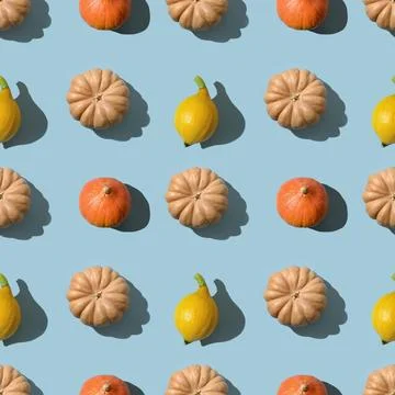 Seamless pattern of pumpkins with shadow. Autumn harvest eco concept. Stock Photos