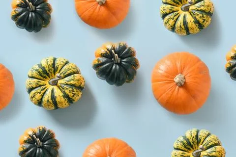Seamless pattern of pumpkins with shadow. Autumn harvest eco concept. Stock Photos