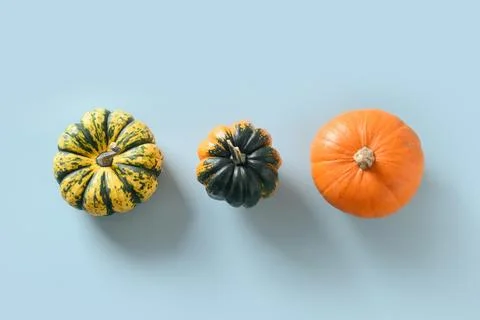 Seamless pattern of pumpkins with shadow. Autumn harvest eco concept. Stock Photos