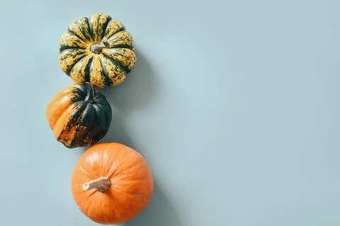 Seamless pattern of pumpkins with shadow. Autumn harvest eco concept. Stock Photos