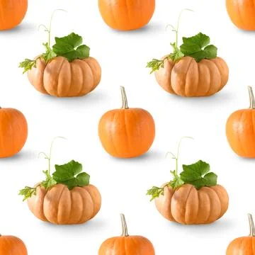 Seamless pattern of pumpkins with shadow. Autumn harvest eco concept. Stock Photos