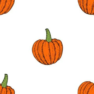 Seamless pattern of pumpkins. Vector cartoon background. Hand-drawn. Stock Illustration