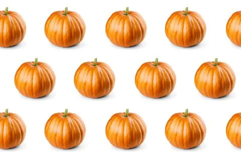 Seamless pattern with pumpkins on white background Foto stock