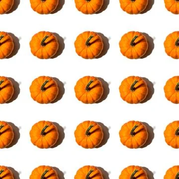 Seamless pattern pumpkins on a white background Stock Photos