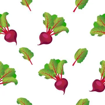 Seamless pattern of purple beets with green leaves. Vector illustration isolated 스톡 일러스트