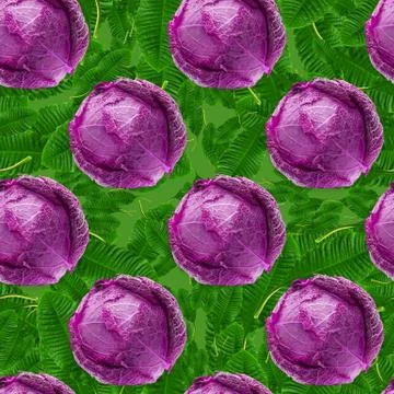 Seamless pattern of purple cabbage isolated on white background Stock Photos