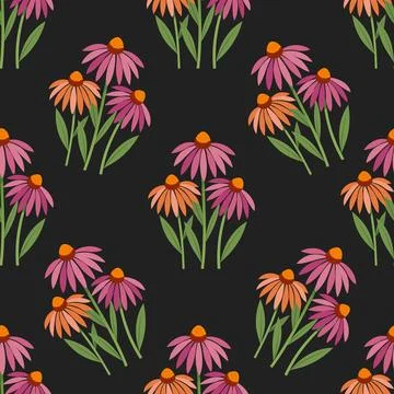 Seamless pattern with purple coneflowers (echinacea purpurea) Stock Illustration