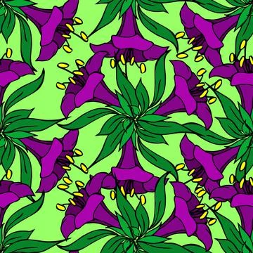 Seamless pattern of purple large exotic flowers with a black outline Stock-Illustration
