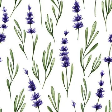 Seamless pattern with purple lavender and green leaves. Spring tender backgro Stock Illustration