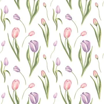 Seamless pattern from purple pink tulips with leaves on a white background. Hand Stock Illustration