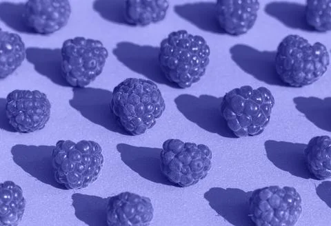 Seamless pattern of purple raspberries on violet background close-up. Stock Photos