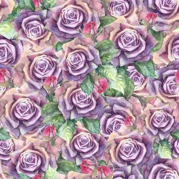 Seamless pattern of purple roses leaves and buds Illustrazione stock