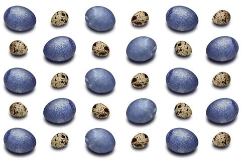 Seamless pattern of quail and chicken colored eggs on a white background Stock Photos