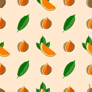 Seamless pattern Quararibea cordata .Vector exotic eco print. South American  Stock Illustration