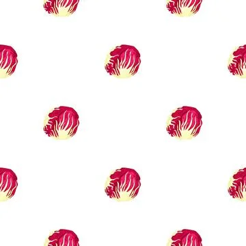 Seamless pattern Radicchio salad on white background. Minimalism ornament wit Stock Illustration