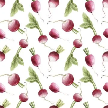 Seamless pattern with radish vegetable on white background. Stock Illustration