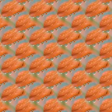 Seamless pattern with rain drops on the petals. Stock Illustration