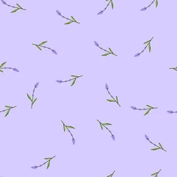 Seamless pattern rainbow lavender cartoon vector Stock Illustration
