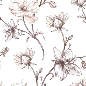 Seamless pattern ranunculus isolated on white background. Watercolor hand draw Illustrazione stock