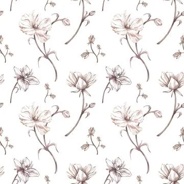 Seamless pattern ranunculus isolated on white background. Watercolor hand draw Stock Illustration