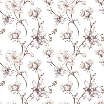 Seamless pattern ranunculus isolated on white background. Watercolor hand draw Stock Illustration