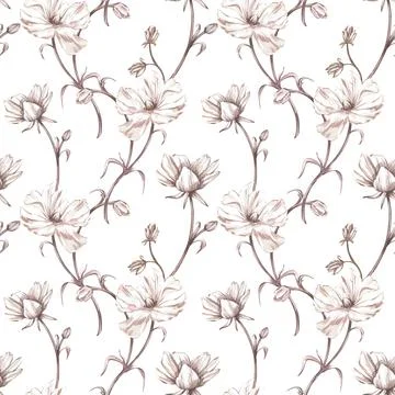 Seamless pattern ranunculus monochrome isolated on white. Watercolor hand draw Illustrazione stock