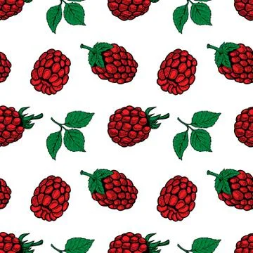 Seamless pattern with Raspberries. Design element for poster, flyer, menu. Ve Illustrazione stock