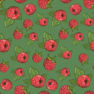 Seamless pattern with raspberries on a green background in vintage style Illustrazione stock