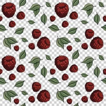 Seamless pattern, raspberries, green leaves on a transparent bg Stock Illustration
