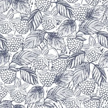 Seamless pattern with raspberries Stock Illustration