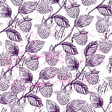 Seamless pattern with raspberries Illustrazione stock