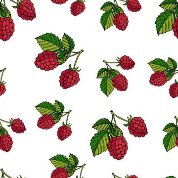 Seamless pattern raspberries Illustrazione stock