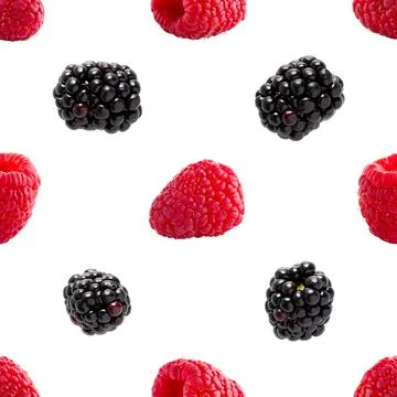 Seamless pattern with raspberry and bramble. pattern for package design 스톡 사진