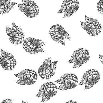 Seamless pattern raspberry berry sketch hand drawn Stock Illustration