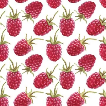 Seamless pattern with .raspberry berry. Watercolor illustration. The print Stock Illustration