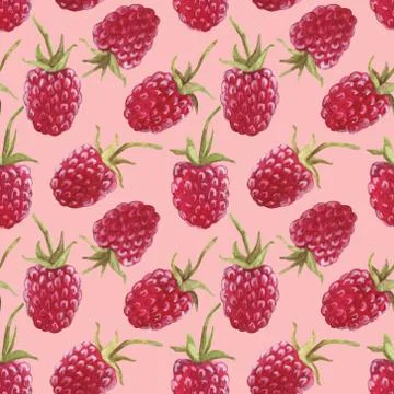 Seamless pattern with .raspberry berry. Watercolor illustration. The print Stock Illustration