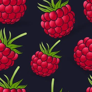 Seamless pattern of raspberry on dark blue Illustrazione stock