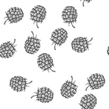 Seamless pattern raspberry food sketch hand drawn 스톡 일러스트