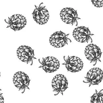 Seamless pattern raspberry food sketch hand drawn 스톡 일러스트