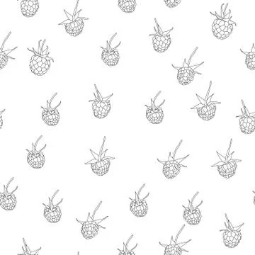 Seamless pattern with raspberry fruit black isolated	 Stock Illustration