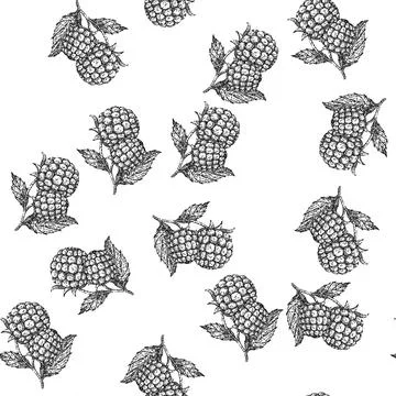 Seamless pattern raspberry plant sketch hand drawn 스톡 일러스트