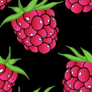 Seamless pattern from raspberry. Vector of a seamless  pattern raspberry. Han Stock Illustration