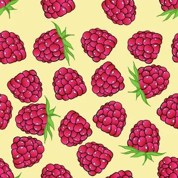 Seamless pattern from raspberry. Vector of a seamless  pattern raspberry. Han Stock Illustration