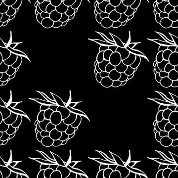 Seamless pattern from raspberry. Vector of a seamless  pattern raspberry. Han Stock Illustration
